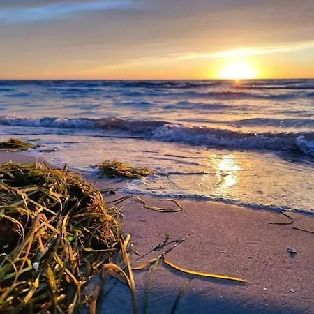 Post Hiddensee In * 비테