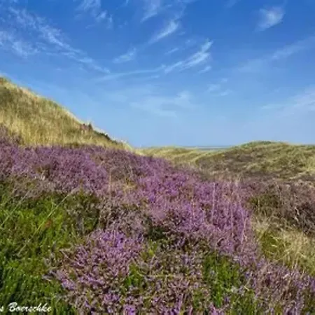 Post Hiddensee In Apartmán *