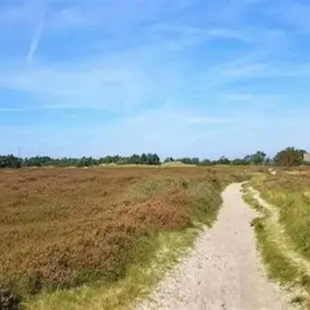 Post Hiddensee In Vitte