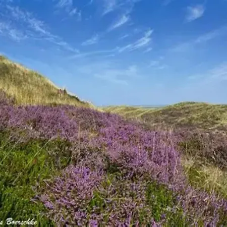 Apartmán Post Hiddensee In Vitte