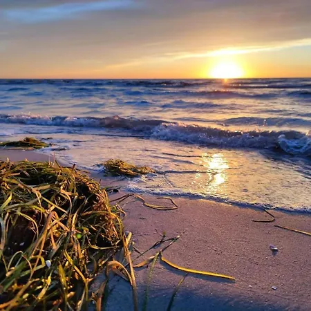 Post Hiddensee In * Vitte