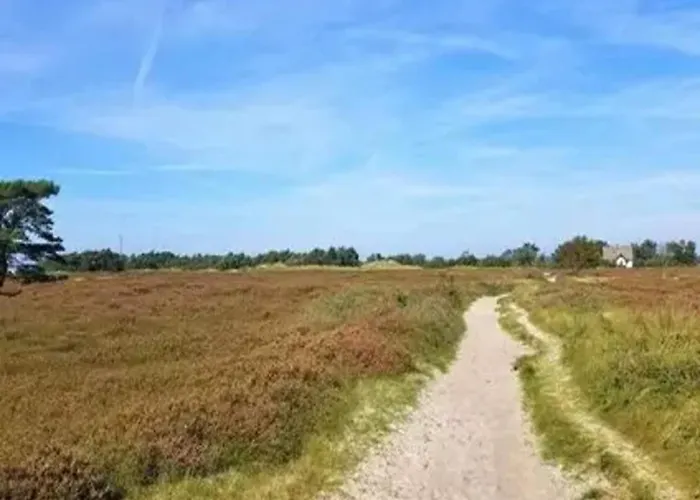 Post Hiddensee In Vitte