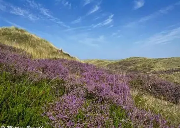 Apartment Post Hiddensee In Vitte
